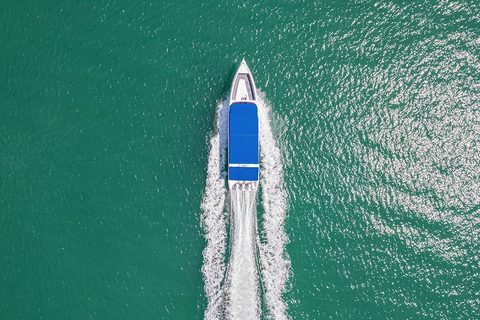 Private Speedboat Phi Phi + Bamboo (One Day Trip)