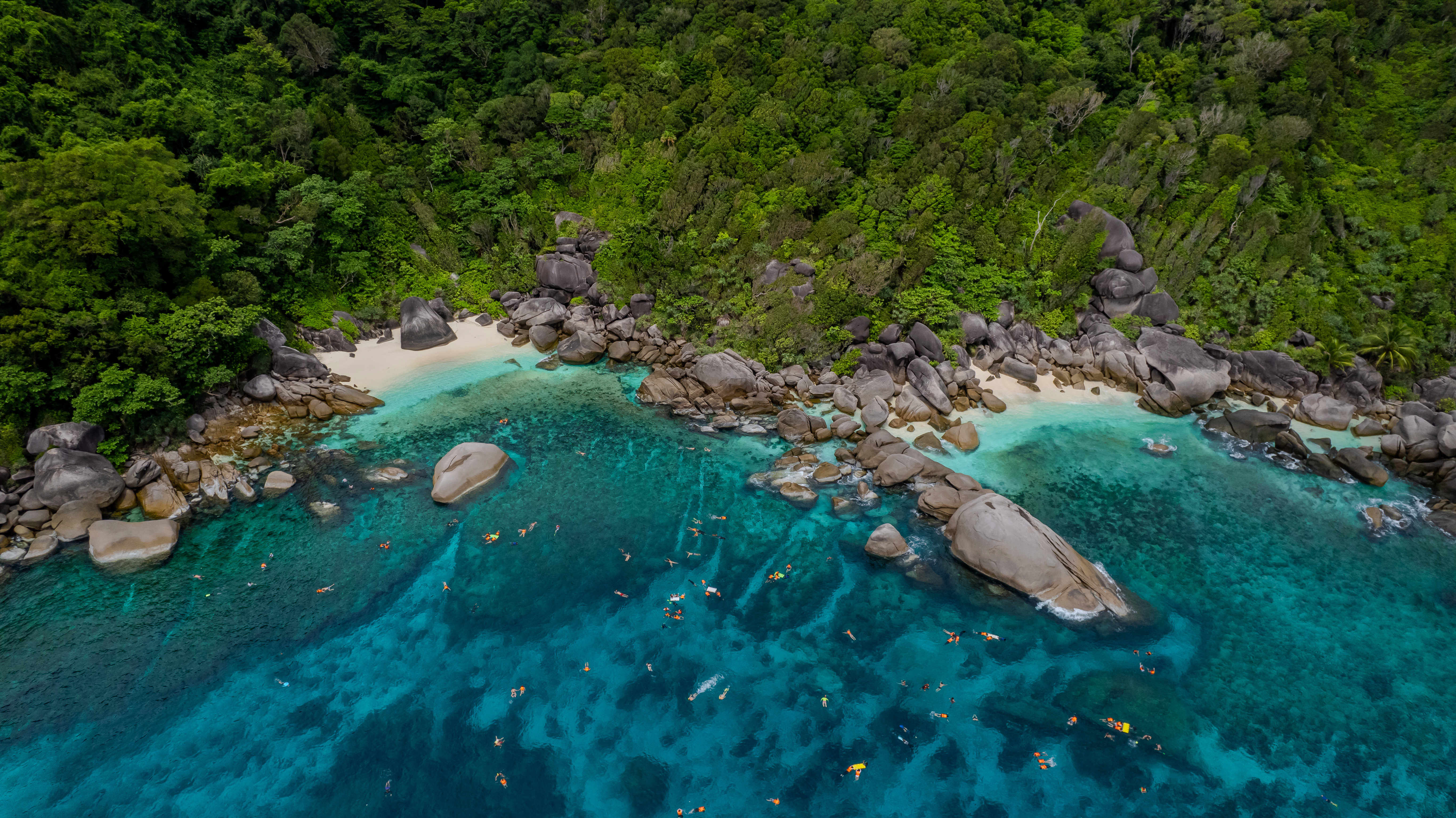 Private Speed Boat Similan Island (One Day Trip)