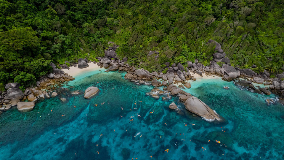 Private Speed Boat Similan Island (One Day Trip)
