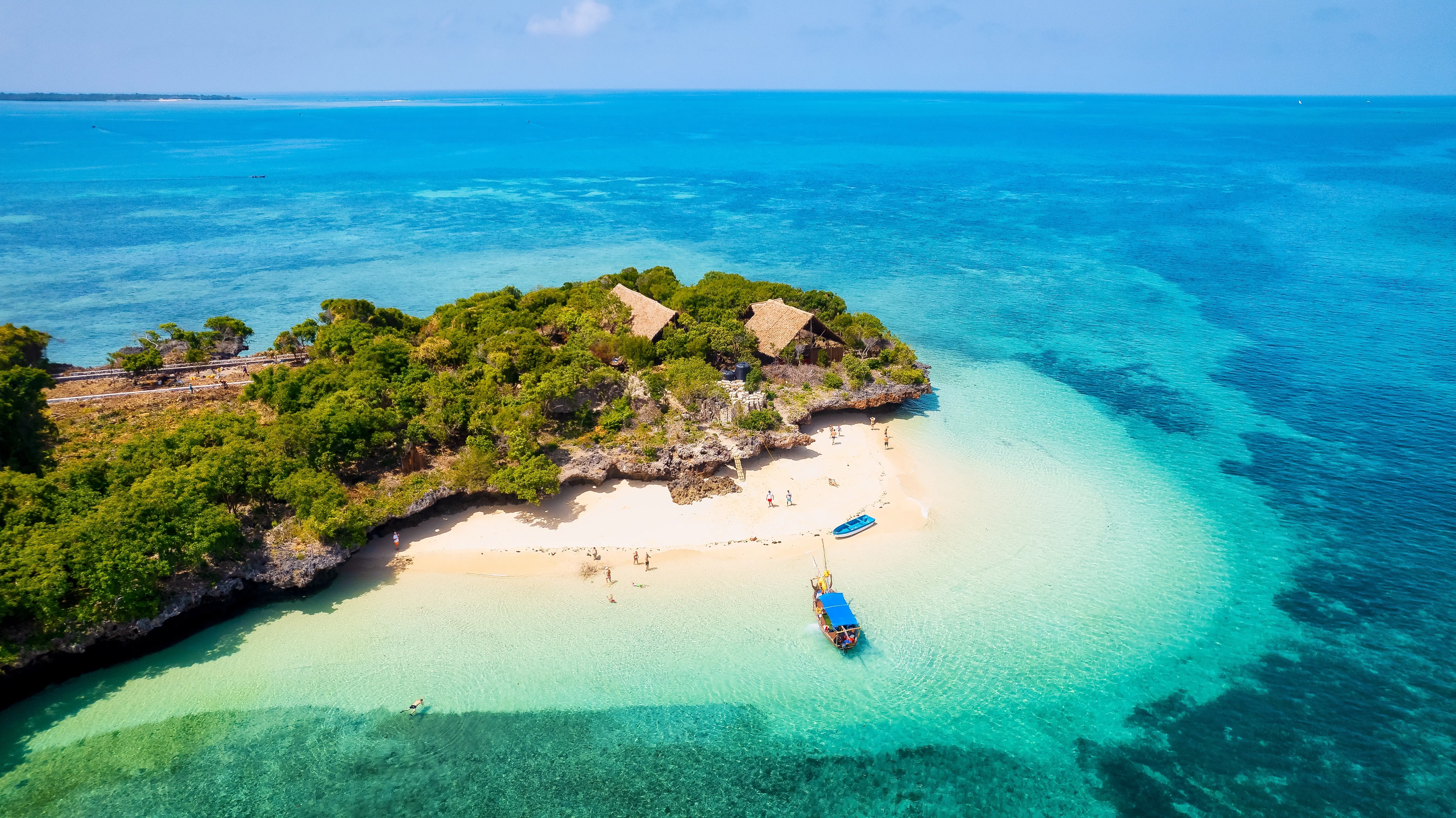 Private Speedboat Phi Phi + Coral Island  (One Day Trip)
