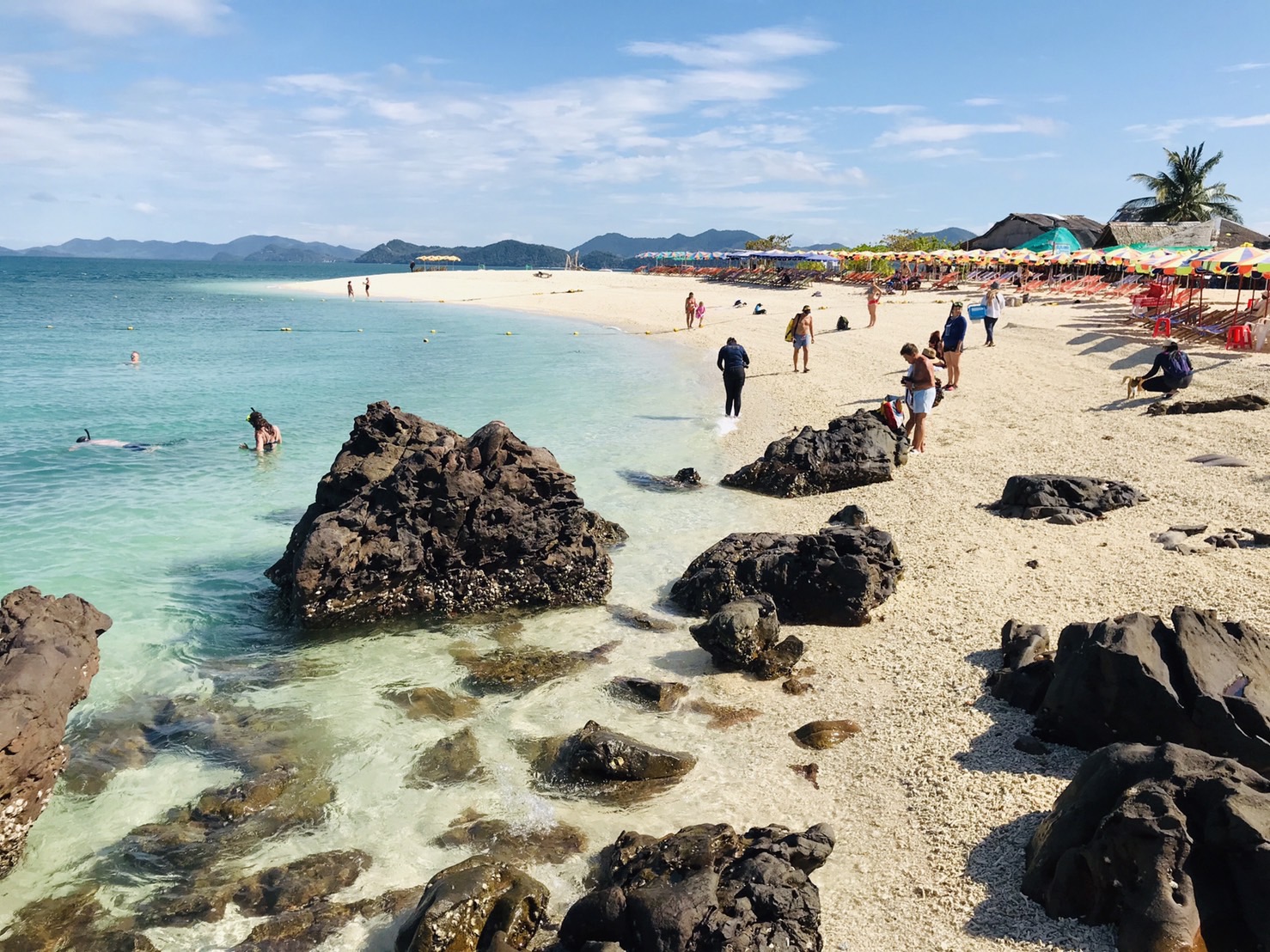Joined Tour Phi Phi – Khai (Half day Trip) Morning
