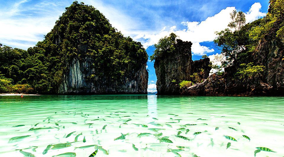 Private Speedboat Tour Krabi + Phi Phi is a full-day