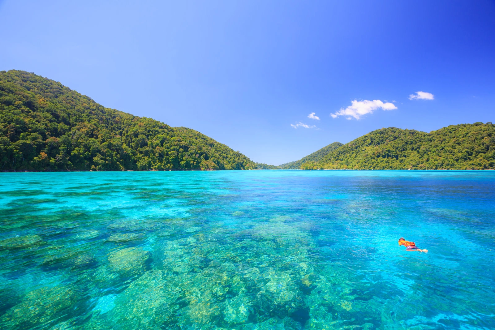 Private Catamaran Surin Island (One Day Trip)