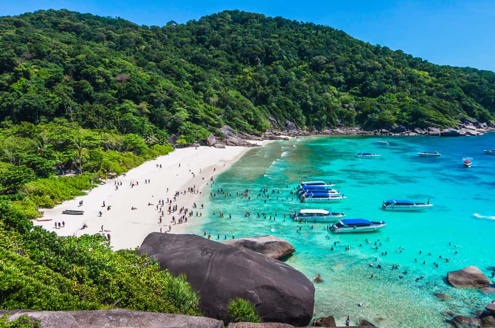 Private Catamaran Similan Islands (From RPM Pier) (One Day Trip)